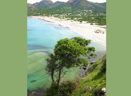 Корсика  островът с едни от най-красивите плажове 