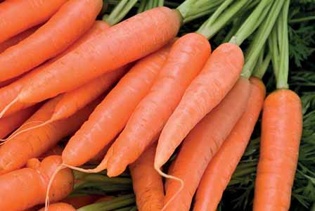Има ли смисъл в твърдението, че морковите подобряват зрението?