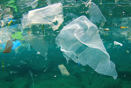 Пластмасата в океаните ще е повече от рибата до 2050 г. 