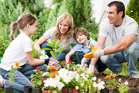 Градинарство може да влезе в училище и да приучава на здравословен живот